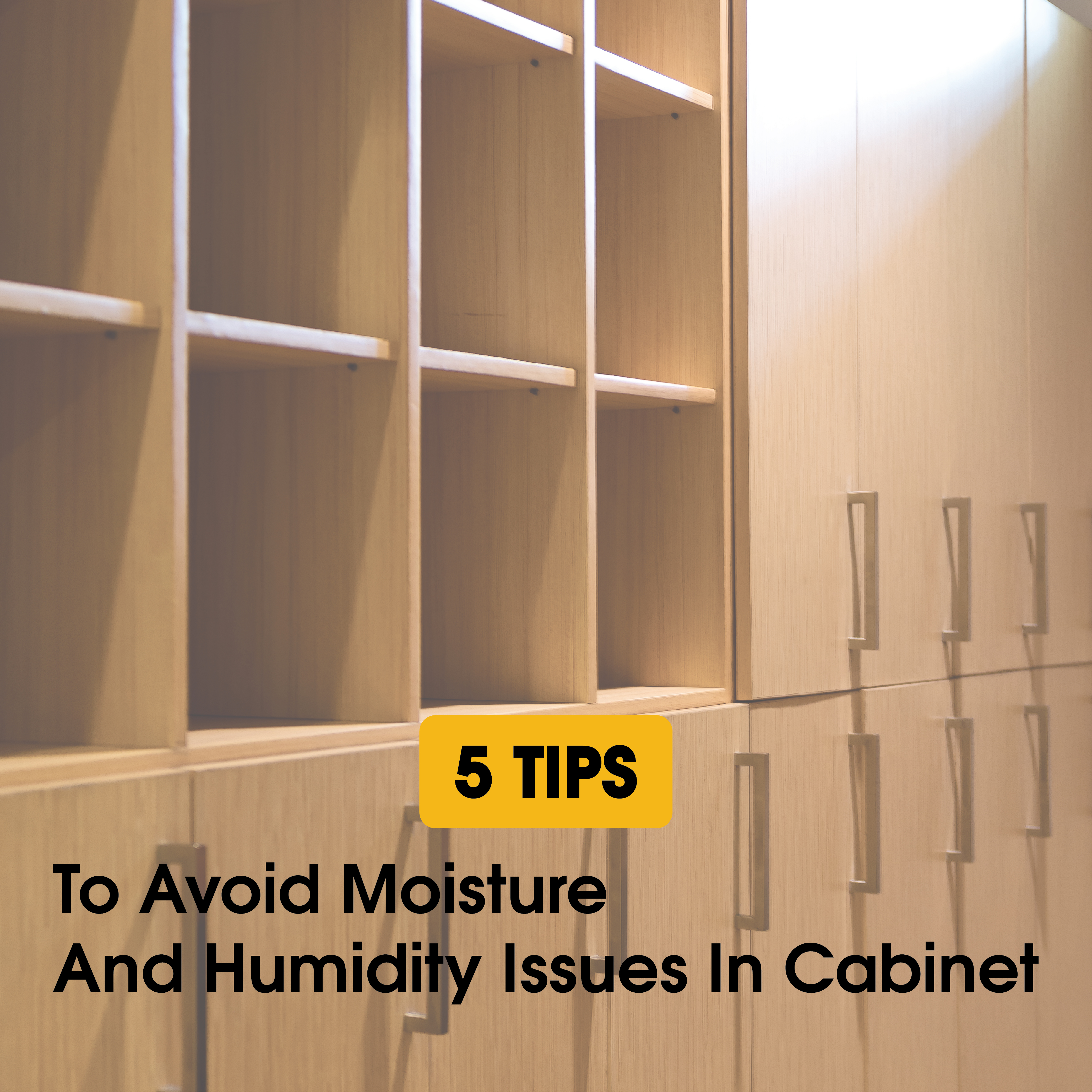 5 Tips To Avoid Moisture And Humidity Issues In Cabinet